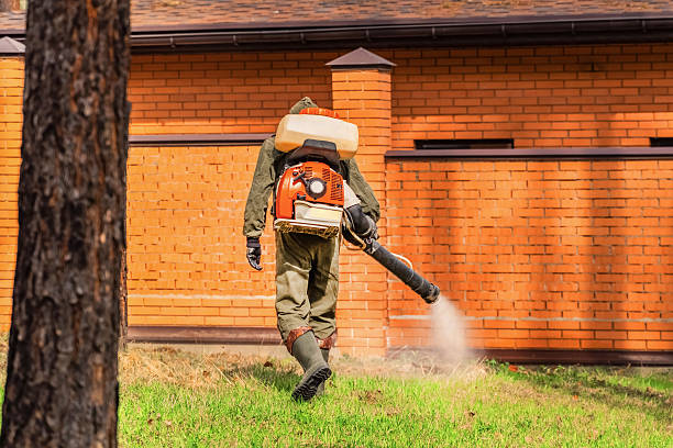 Trusted Termite Control service in Brownville, NJ - Nex Pest Control